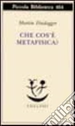 Che cos'è la metafisica? libro