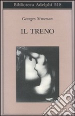 Il treno libro usato