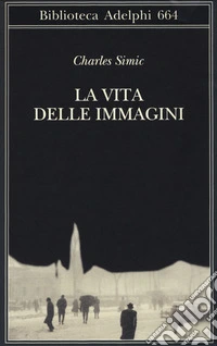 La vita delle immagini libro