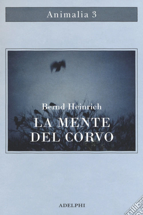 La mente del corvo