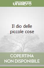 Il dio delle piccole cose libro