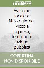 Sviluppo locale e Mezzogiorno. Piccola impresa, territorio e azione pubblica