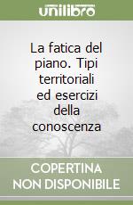 La fatica del piano. Tipi territoriali ed esercizi della conoscenza libro