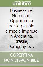 Business nel Mercosur. Opportunità per le piccole e medie imprese in Argentina, Brasile, Paraguay e Uruguay