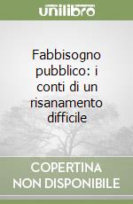 Fabbisogno pubblico: i conti di un risanamento difficile