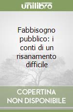 Fabbisogno pubblico: i conti di un risanamento difficile libro