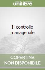 Il controllo manageriale