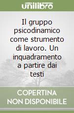 Il gruppo psicodinamico come strumento di lavoro. Un inquadramento a partire dai testi libro