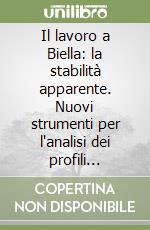 Il lavoro a Biella: la stabilità apparente. Nuovi strumenti per l'analisi dei profili professionali nei mercati locali del lavoro libro