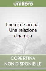 Energia e acqua. Una relazione dinamica libro