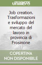 Job creation. Trasformazioni e sviluppo del mercato del lavoro in provincia di Frosinone libro