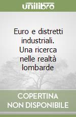 Euro e distretti industriali. Una ricerca nelle realtà lombarde libro