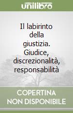 Il labirinto della giustizia. Giudice, discrezionalità, responsabilità libro