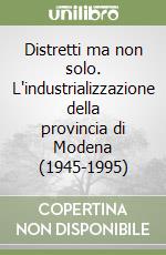 Distretti ma non solo. L'industrializzazione della provincia di Modena (1945-1995)