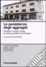 La persistenza degli aggregati. Cittadini e welfare locale in un'area periferica di Bologna libro