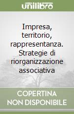 Impresa, territorio, rappresentanza. Strategie di riorganizzazione associativa libro