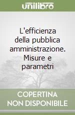 L'efficienza della pubblica amministrazione. Misure e parametri libro