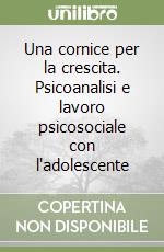 Una cornice per la crescita. Psicoanalisi e lavoro psicosociale con l'adolescente libro