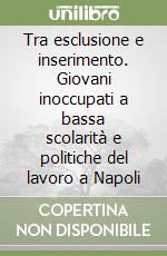 Tra esclusione e inserimento. Giovani inoccupati a bassa scolarità e politiche del lavoro a Napoli libro