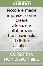 Piccole e medie imprese: come creare alleanze e collaborazioni transnazionali. Il GEIE e gli altri strumenti per lo sviluppo e l'internazionalizzazione delle PMI libro