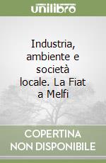 Industria, ambiente e società locale. La Fiat a Melfi libro