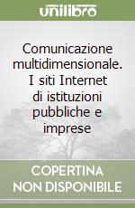 Comunicazione multidimensionale. I siti Internet di istituzioni pubbliche e imprese libro