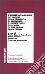 L'analisi dei consumi nei comuni della provincia di Benevento e l'indicazione delle aree di attrazione commerciale libro