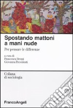 Spostando mattoni a mani nude. Per pensare le differenze. Con CD-ROM libro