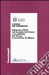 L'anno dei paradossi. Rapporto 2002 sul mercato del lavoro e le politiche del lavoro in provincia di Milano libro