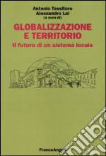 Globalizzazione e territorio. Il futuro di un sistema locale libro