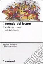 Il mondo del lavoro. Un'evoluzione in corso libro