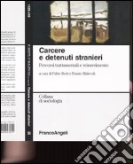 Carcere e detenuti stranieri. Percorsi trattamentali e reinserimento libro