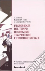 L'esperienza del tempo di consumo, tra pratiche e fruizione sociale libro