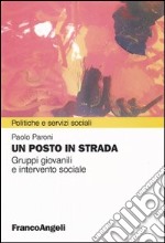 Un posto in strada. Gruppi giovanili e intervento sociale libro