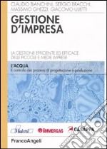 Gestione d'impresa. La gestione efficiente ed efficace delle piccole e medie imprese. Il controllo dei processi di progettazione e di produzione libro