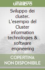 Sviluppo dei cluster. L'esempio del Cluster information technologies & software engineering