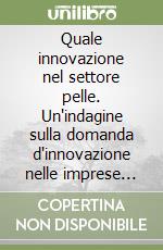 Quale innovazione nel settore pelle. Un'indagine sulla domanda d'innovazione nelle imprese del settore pelletteria dell'area fiorentina libro