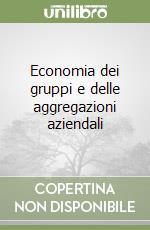 Economia dei gruppi e delle aggregazioni aziendali libro