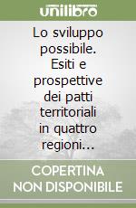 Lo sviluppo possibile. Esiti e prospettive dei patti territoriali in quattro regioni meridionali libro