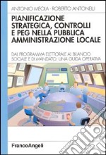 Pianificazione strategica, controlli e PEG nella pubblica amministrazione locale. Dal programma elettorale al bilancio sociale e di mandato. Una guida operativa libro