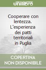 Cooperare con lentezza. L'esperienza dei patti territoriali in Puglia libro