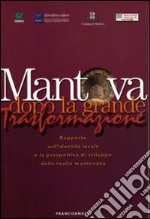 Mantova dopo la grande trasformazione. Rapporto sull'identità locale e la prospettiva di sviluppo della realtà mantovana libro