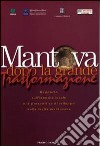 Mantova dopo la grande trasformazione. Rapporto sull'identità locale e la prospettiva di sviluppo della realtà mantovana libro