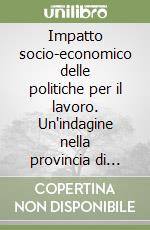 Impatto socio-economico delle politiche per il lavoro. Un'indagine nella provincia di Pesaro e Urbino libro