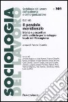 Il pendolo meridionale. Bilanci e prospettive delle politiche per lo sviluppo locale del Mezzogiorno libro