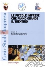 Le piccole imprese che fanno grande il Trentino libro