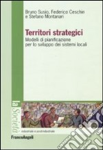 Territori strategici. Modelli di pianificazione per lo sviluppo dei sistemi locali libro