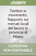 Territori in movimento. Rapporto sui mercati locali del lavoro in provincia di Milano libro