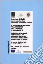 I diplomati a Rimini tra mercato del lavoro e Università. Indagine sui processi di transizione dei diplomati dell'Anno Scolastico 2002-2003 in provincia di Rimini libro