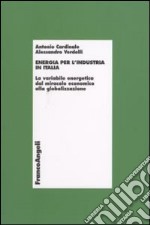 Energia per l'industria in Italia. La variabile energetica dal miracolo economico alla globalizzazione libro